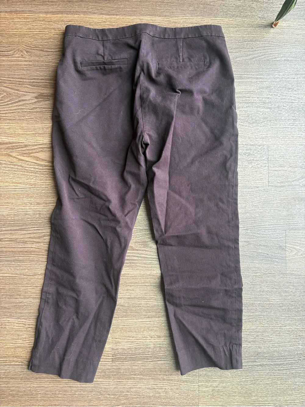 J. Crew Black Martie Pants